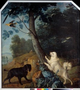 Merluzine a Cocoq, psi Ludvíka XIV. (1638-1715). Obraz Francoise Desportese (1661-1743) od Alexandre Francois Desportes