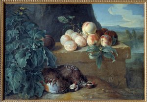 Broskve a koroptve. Obraz Francoise Desportese (1661-1743) od Alexandre Francois Desportes