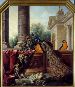 Zátiší s pávem Papoušek, opice a hrozny. Obraz Francoise Desportese (1661-1743) 18. století Sun. 2,05x1,8 m Lyon, Musee des Beaux Arts od Alexandre Francois Desportes