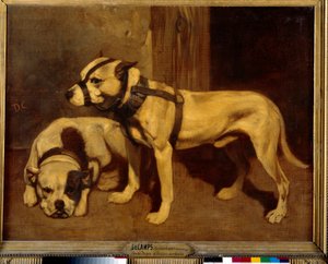 Skotský buldok a teriér Bad Dog s náhubkem. Obraz Alexandre Gabriel Decamps od Alexandre Gabriel Decamps