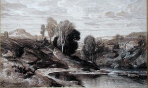 Volavka (bistre a mytí na papíře) od Alexandre Gabriel Decamps
