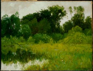 Po dešti, na Minnehaha Creek