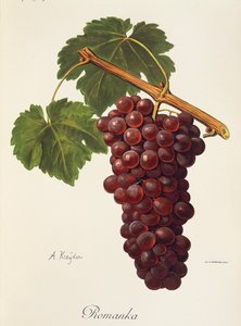 Hrozen Romanka od A. Kreydera od Alexis Kreyder