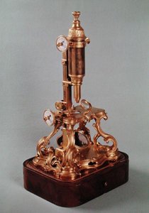 Mikroskop patřící Louisi Auguste d