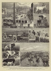 Jihoafrická zemědělská výstava, Port Elizabeth, Cape Colony