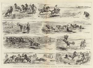 Zachycení divokých koní na Laramie Plains, Severozápadní Amerika