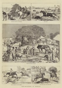 Lov prasat v Bengálsku