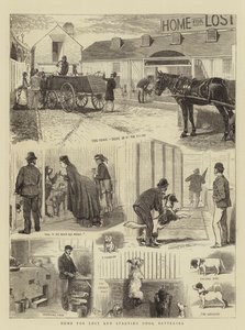 Domov pro ztracené a hladovějící psy, Battersea od Alfred Chantrey Corbould