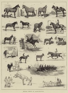 Výstava koní v Manchesteru od Alfred Chantrey Corbould