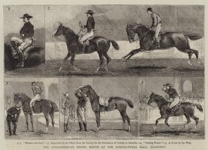 Anglo-mexický jezdecký zápas v Agricultural Hall, Islington od Alfred Chantrey Corbould