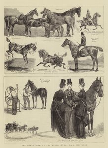 Výstava koní v Agricultural Hall, Islington