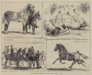 Koňská show v parku Alexandra od Alfred Chantrey Corbould