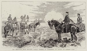 Baterie Mountain Mule, nedávno zformovaná v Aldershot, v akci na Caesarově táboře od Alfred Chantrey Corbould