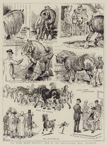 Shire Horse Society Show v Agricultural Hall, Islington od Alfred Chantrey Corbould
