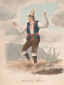 Rolník z Hierro od Alfred Diston