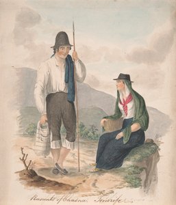Rolníci z Chasna, Tenerife od Alfred Diston