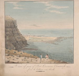 Pohled z části Port Orotava, Tenerife z La Caldeva, poblíž Sancho od Alfred Diston