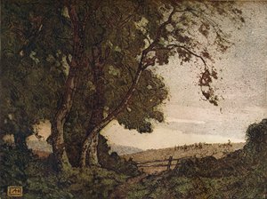 Drooping Ash, c1910