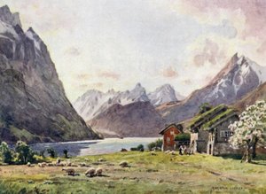 Hjorundský fjord, Husa od Alfred Heaton Cooper