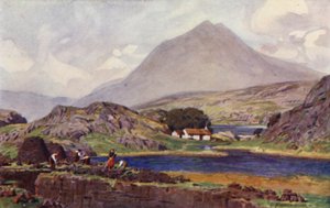 Sběrači trávníků, Connemara od Alfred Heaton Cooper