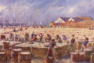 Yarmouth, Norfolk, Sklizeň sledě od Alfred Heaton Cooper