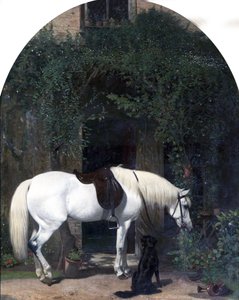 Bílý kůň a retrívr od Alfred Hichens Corbould