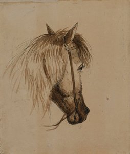Hlava koně od Alfred Jacob Miller