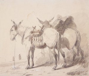 Mule Equipment, c.1837 (tužka a mytí na papíře) od Alfred Jacob Miller