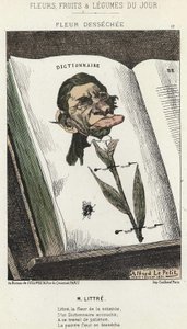 Déséchée flower: karikatura na Littré - ill. od 01.02.1871 v „Květiny, ovoce a zelenina dne“ od Alfred Le Petit