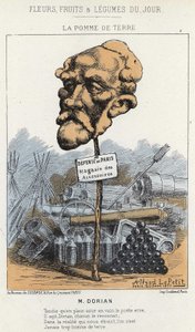 La Potato: Cartoon on Dorian - nemocný. od 20. 1. 1871 v „Květiny, ovoce a zelenina dne“ od Alfred Le Petit