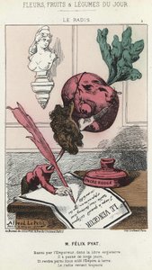 Le Radis: Cartoon on Félix Pyat (1810 - 1889) - nemoc. ze dne 02.02.187 v „Květiny, ovoce a zelenina dne“ od Alfred Le Petit