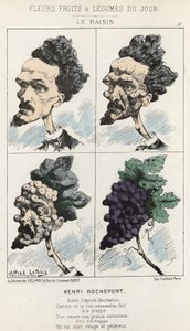 Le Raisin: Kreslený film o Henri Rochefort - nemocný. od 9.2.1871 v „Květiny, ovoce a zelenina dne“ od Alfred Le Petit