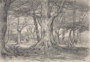 Lesní krajina poblíž Boldrewood od Alfred Parsons