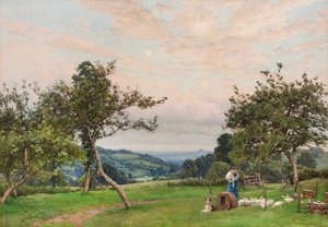 Kachní pero (akvarel) od Alfred Parsons