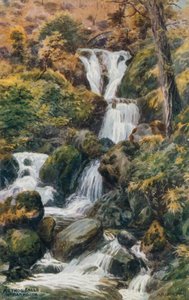 Arthog Falls, Nr. Barmouth od Alfred Robert Quinton