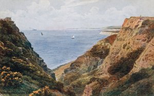 Blackgang Chine, ostrov Wight od Alfred Robert Quinton