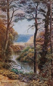 Branksome Chine, Bournemouth od Alfred Robert Quinton