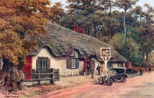 Cat and Fiddle Inn, New Forest od Alfred Robert Quinton