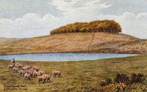 Chanctonbury Ring a Dew Pond, S Downs od Alfred Robert Quinton