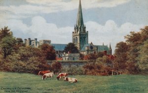 Chichester, katedrála, z Meadows od Alfred Robert Quinton