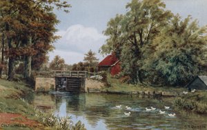 Zámek Coltishall na řece Bure od Alfred Robert Quinton