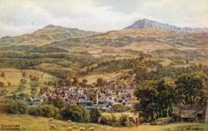 Dolgelley a Cader Idris od Alfred Robert Quinton