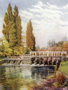 Pasti na úhoře v Hedsoru od Alfred Robert Quinton