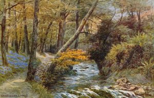Groudle Glen, Já člověka od Alfred Robert Quinton