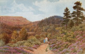 Hindhead od Alfred Robert Quinton
