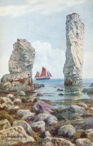 Starý Harry Rocks, Swanage od Alfred Robert Quinton
