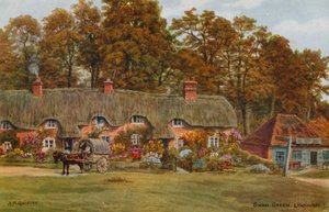Swan Green, Lyndhurst od Alfred Robert Quinton