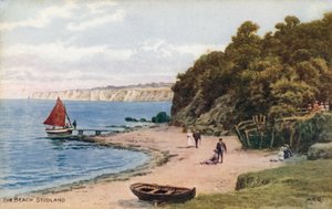 Pláž, Studland od Alfred Robert Quinton