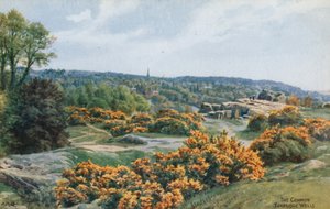 The Common, Tunbridge Wells od Alfred Robert Quinton