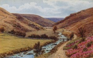 The Doone Glen, Lynton od Alfred Robert Quinton